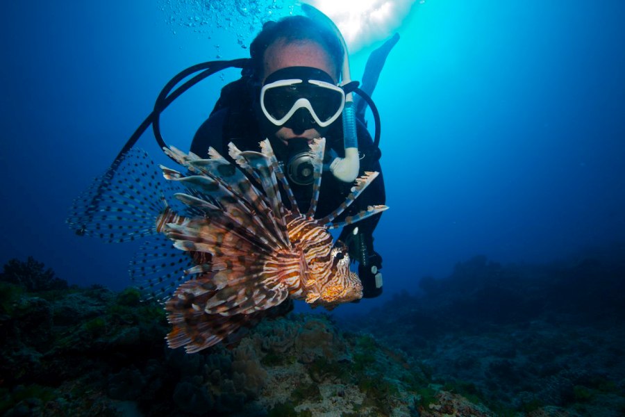 A female scuba diver swimming alongside a lionfish in the crystal-clear waters of Vava'u, Tonga.